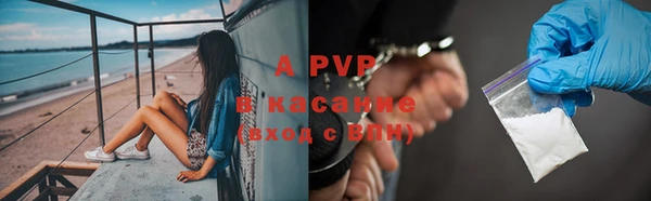 гидропоника Белокуриха