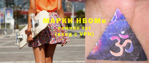 шишки Слюдянка