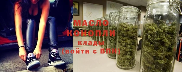 шишки Слюдянка