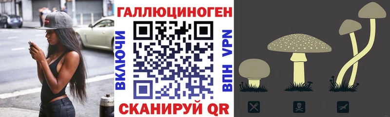 закладка  Котлас  Галлюциногенные грибы мицелий 